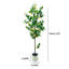 5FT Artificial Lemon Tree with 20 Faux Lemons in White Pot – Tall Silk Plant for Indoor Home, Office, Garden – Single Trunk with Triple Small Limbs Alternative