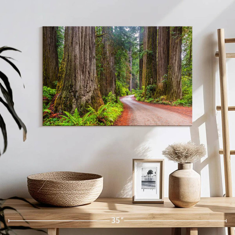 Harnek Redwood Forest Dirt Road, H 16 po x l 24 po