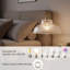 12cm H Glass Dome Lamp Shade ( Spider ) in Clear