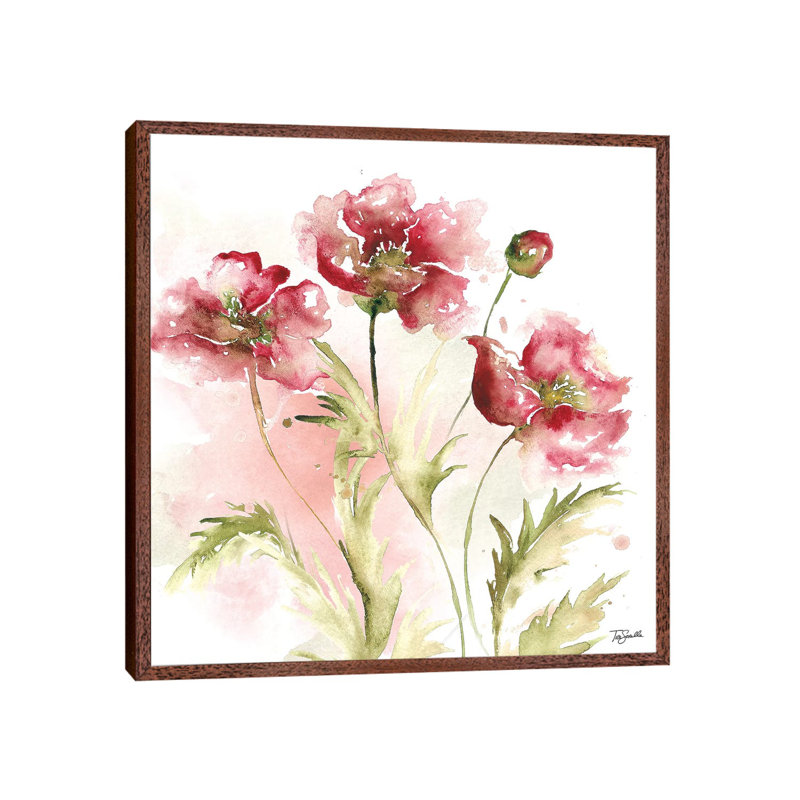 Blush Watercolour Poppy III - Painting on Canvas, 45.72 cm H x 45.72 cm W, Classic Brown Wood Framed