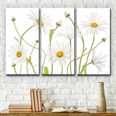 Ox Eye Daisies - 3 pièces, impression sur toile