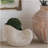 8.5x5.5x6.3" Sand and Cement Nautilus Shell Planter with Textured Beige Finish
