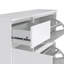 Aveon 12 Pair Shoe Storage Cabinet-1887524656