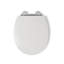 Lugano White Wooden Toilet Seat - Soft Close & Quick Release Button for Easy Cleaning, Adjustable Hinges with Top and Bottom Fixings Included and Antibacterial Treated Surface (White)