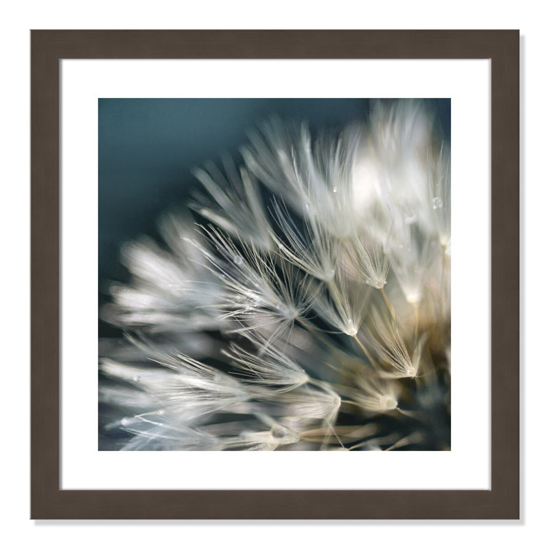 «Dandelion Dreams I» par Edgemont, impression encadrée
