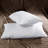 Polyester Sham-1185001059