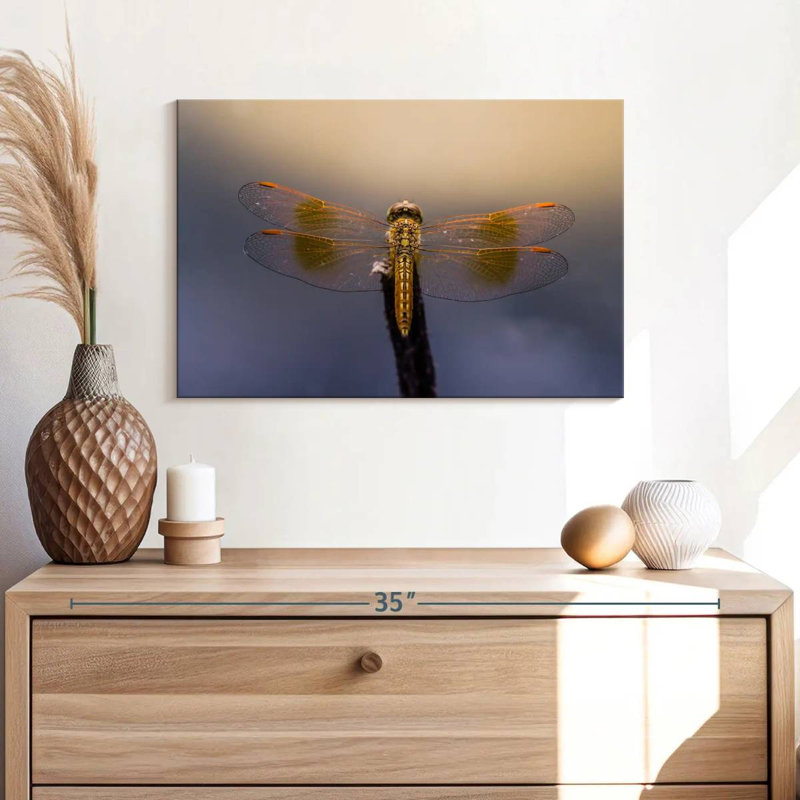 Crowle Dragonfly Glow, 16" H x 24" W
