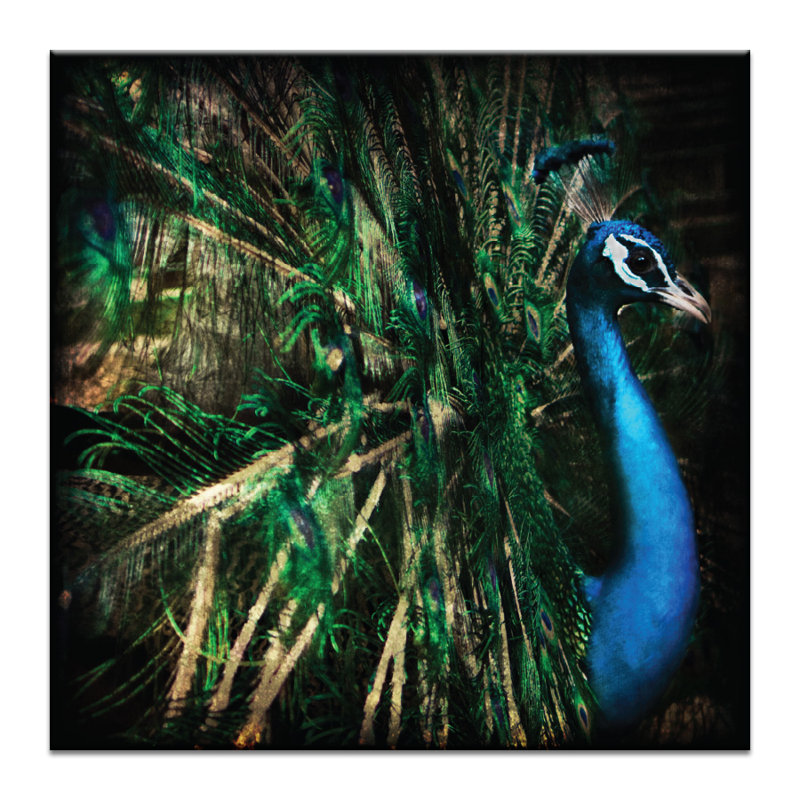 Andrew Paranavitana - Wrapped Canvas Print, 61cm H x 61cm W x 3.8cm D