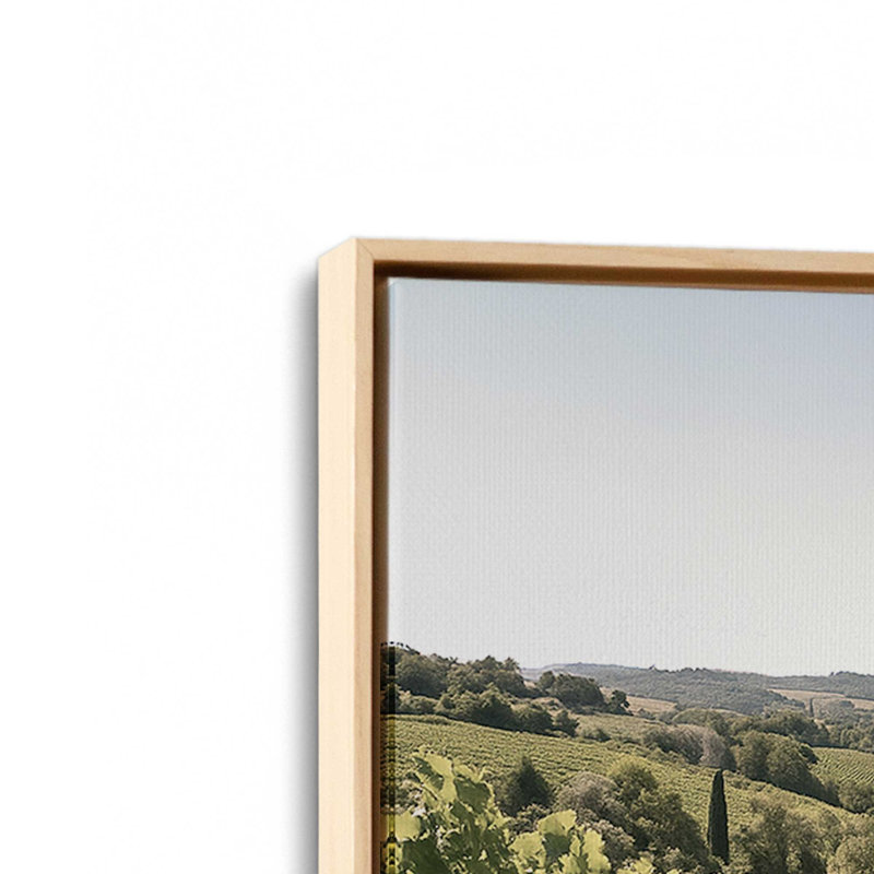 Sunlit Tuscan Vines, reproduction sur toile, 8 po x 12 po, Cadre flottant en érable américain