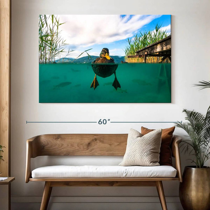Crowle Duck Underwater View