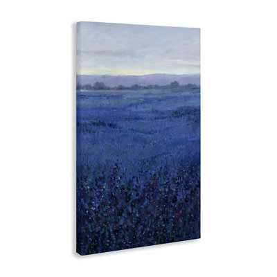 "Blue Country Fields", art mural par Tim Ottoole