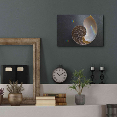 "Coquillage Nautilus" par Elena Ray