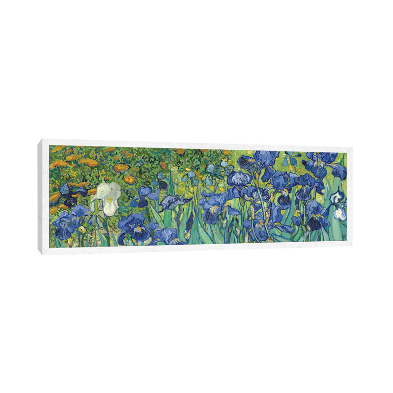 Irises, 1889 by Vincent Van Gogh - Floater Frame Panoramic Painting on Canvas, 30.48 cm H x 91.44 cm W, White Framed