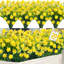 Fleurs artificielles-1398364675