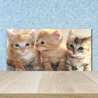 Livya 50cm W x 100cm L Glass Peel and Stick Panel