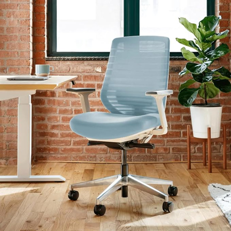 Branch Ergonomic Chair - A Versatile Desk Chair With Adjustable Lumbar Support, Breathable Mesh Backrest, And Smooth Wheels - Experience Optimal Comfort And Support