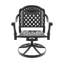 3-Piece All-Weather Cast Aluminum Dining Set, Include 2 Swivel Chairs And Round Table With Black Frame-114663634