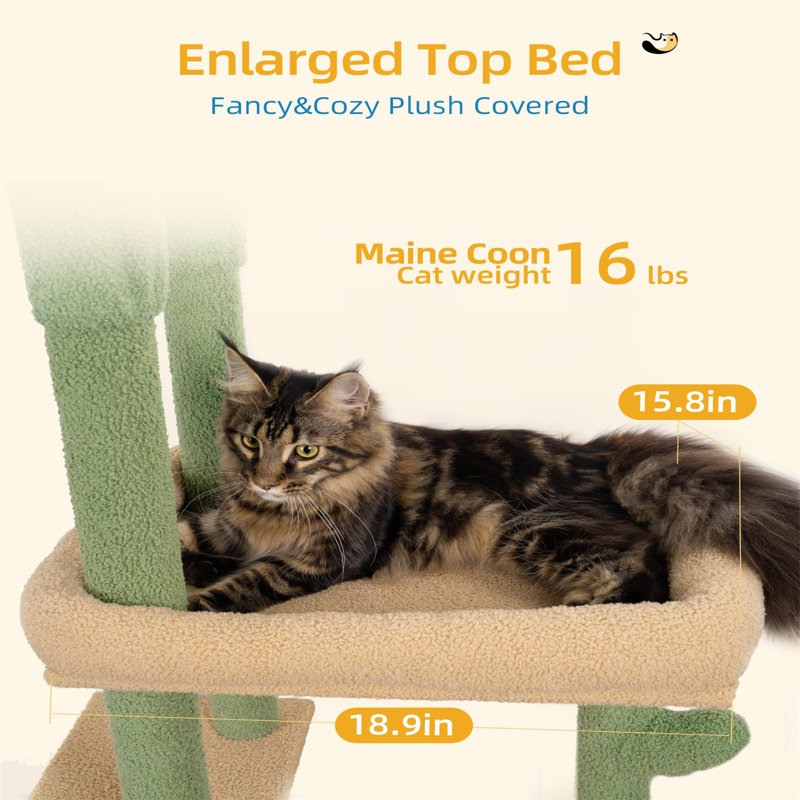 220cm H Cat Tree