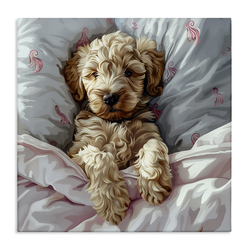  Nap Time Cuddling Labradoodle Canvas Wall Art by Jim Baldwin, H 17 po x l 17 po