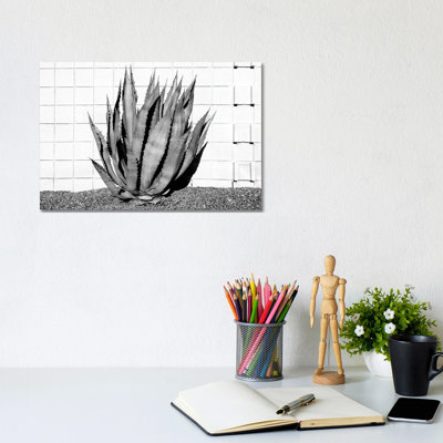 Agave 1 Piece Wrapped Canvas Wall Art