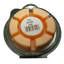 Ginger Fizz Scented Wax Melt