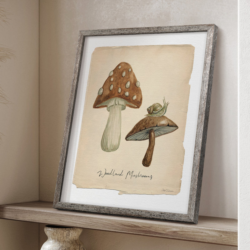 Champignons des bois, reproduction encadrée - bois massif, H 11 po x l 9 po