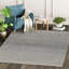 Tapis rayé gris/bleu ravi-1666264328