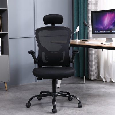 Izelle Ergonomic Desk Chair Home Office Chair Mesh Task Chair With Flip-up Armrest by Inbox Zero