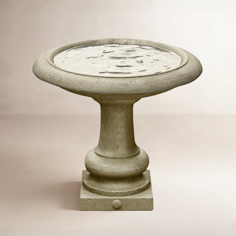 Bain d'oiseaux Connerton, Mousse anglaise