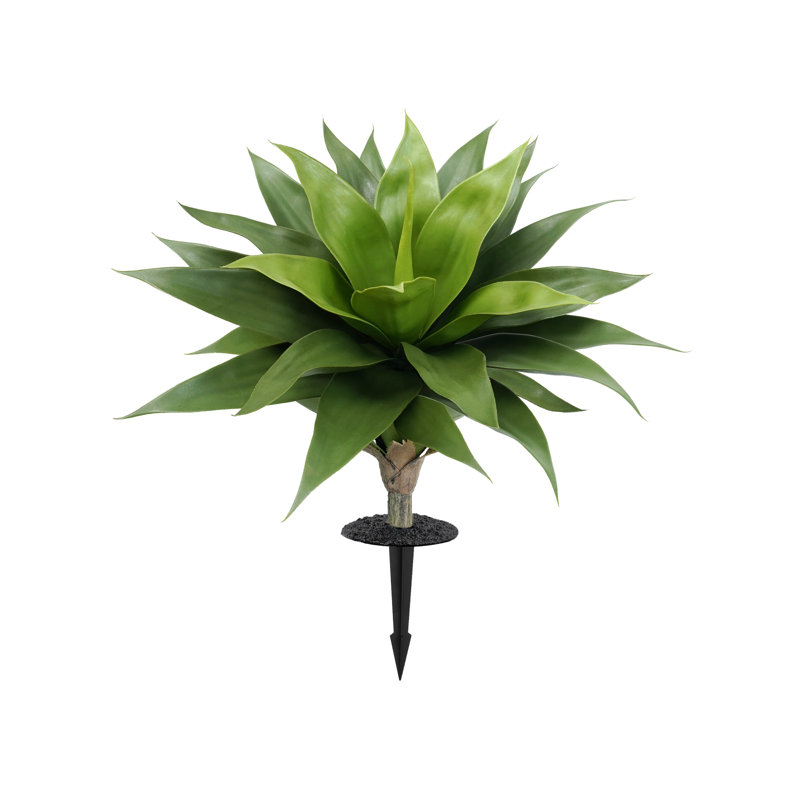 Agave artificielle, Vert uni, 24