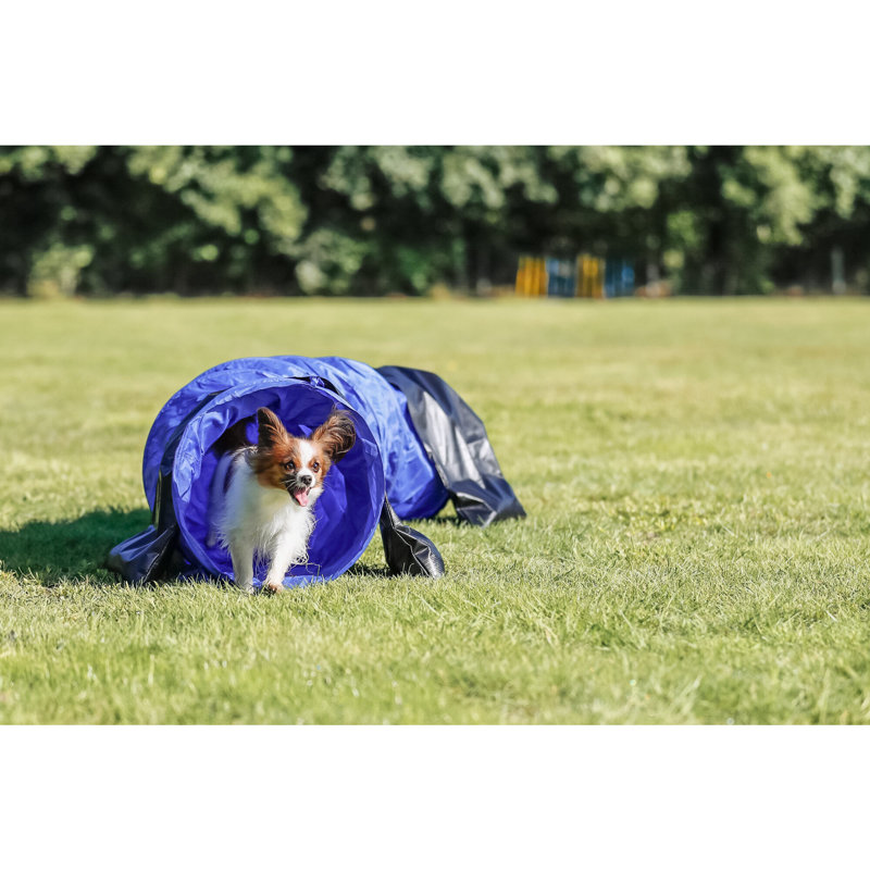 Blue and Black 6.5-ft Dog Agility Training Tunnel