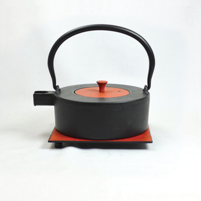 Bloomsbury Market Edwige 0.8 mL Stovetop Safe Teapot For