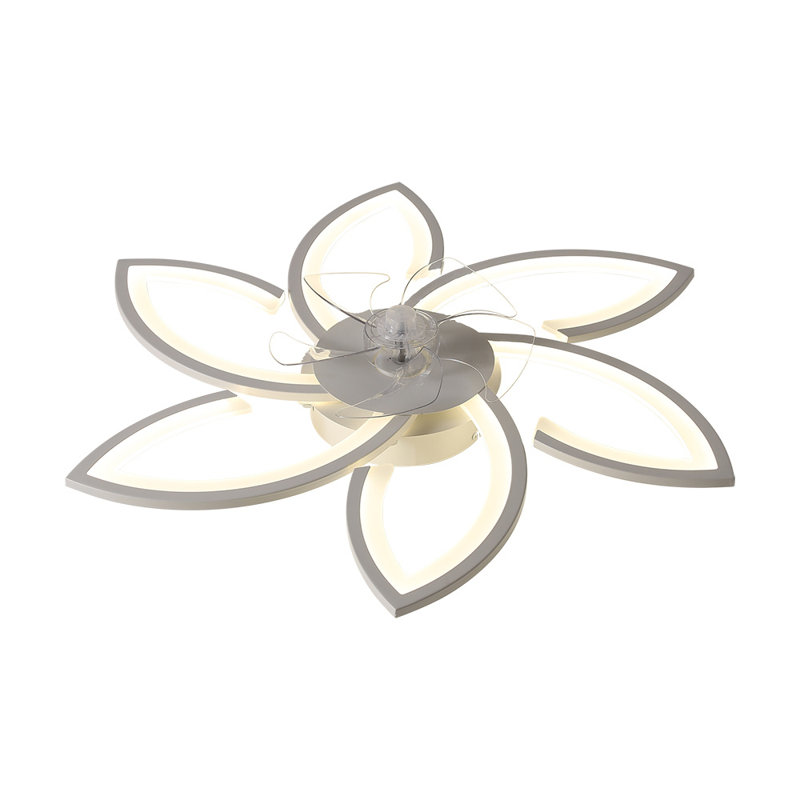 Chantily Ceiling Fan with LED Lights