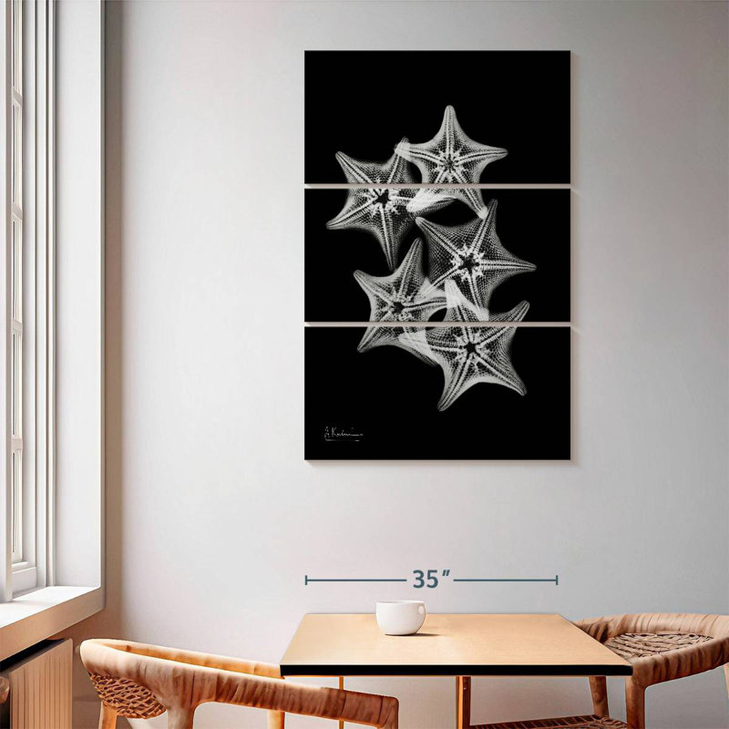 Brampt Starfish Collage, 65" H x 42" W