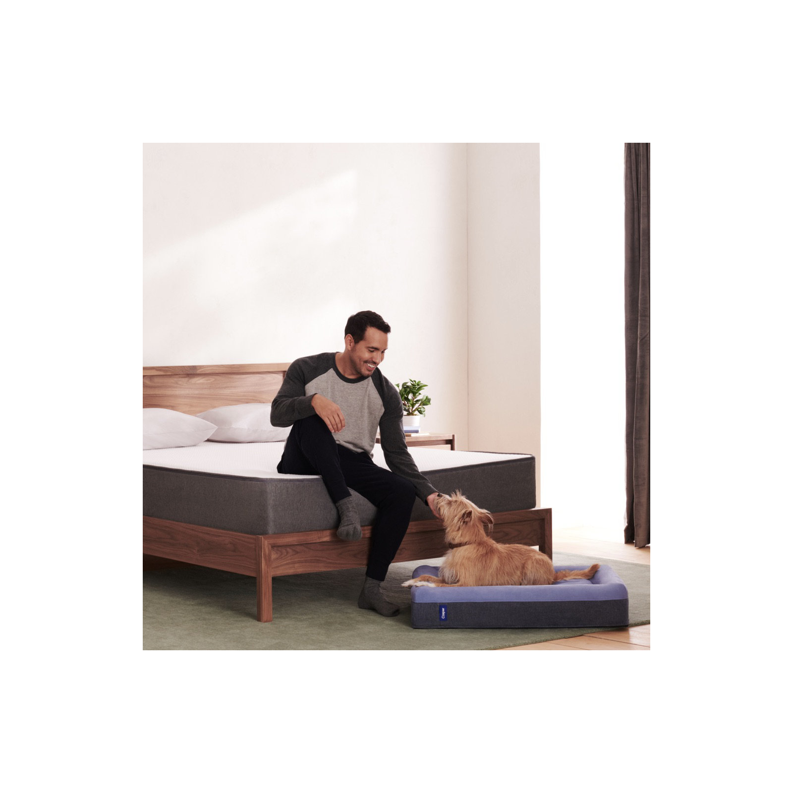 The Casper Dog Bed, Large (45" W x 35" D x 7"H), Blue