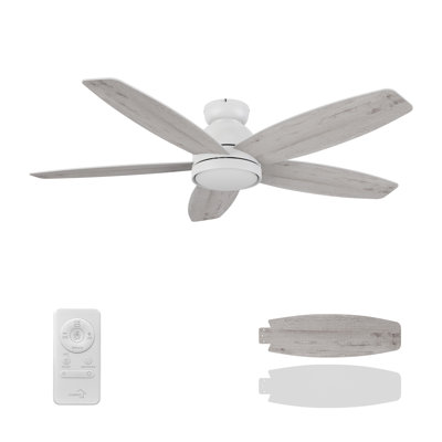 Ventilateur de plafond de 52 po avec éclairage à DEL