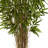 Twiggy Bamboo Silk Tree