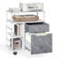 Classeur vertical mobile 2 tiroirs Brontie