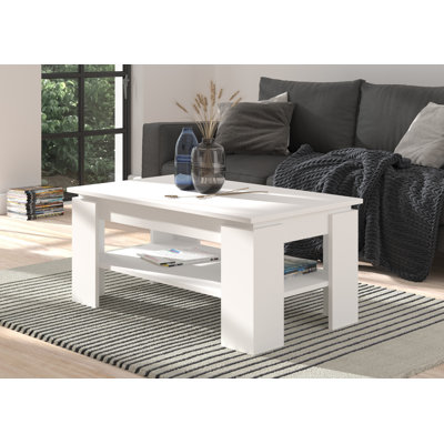 Heinaman 4 Legs Coffee Table with Storage