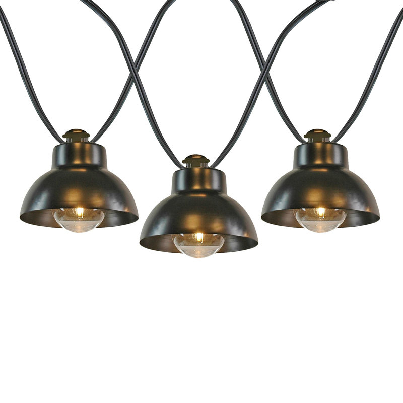 Doyne Outdoor 10 - Bulb 11'' Plug-in LED Globe String Light