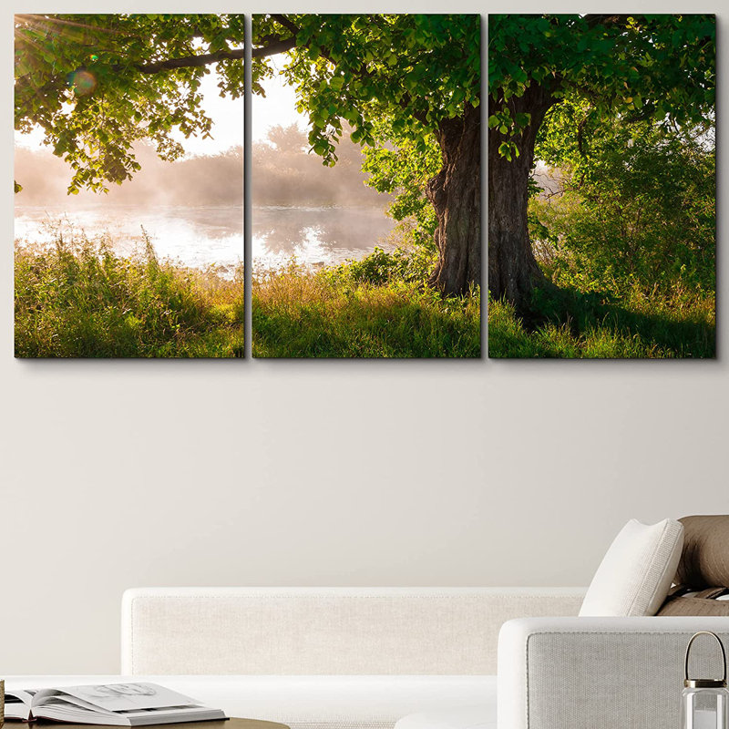 Nature paysage chêne en pleine feuille en été debout seul - ensemble de 3 reproductions de photos, H 36 po x l 72 po