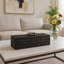 18" Griffon White Wood Box-498263058
