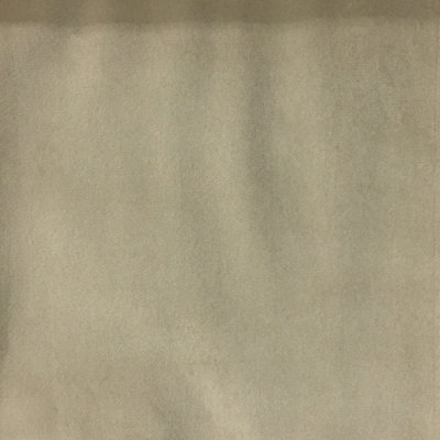 Liberty Plain Velvet Upholstery Fabric