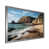 Silver Single Picture Framed