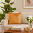 Square Velvet Pillow Cover & Insert-1428406174