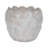Stoneware Ceramic Planter with Embossed Scale Texture and Scalloped Rim Decorative Modern Pot-602994538