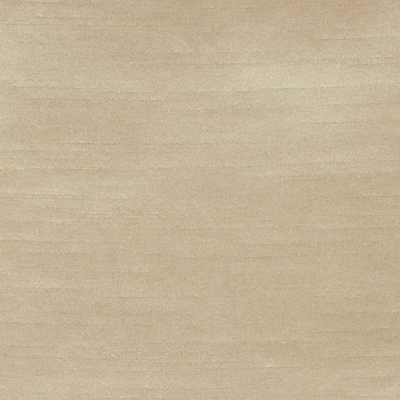 Mitch Fabric, Biscotti