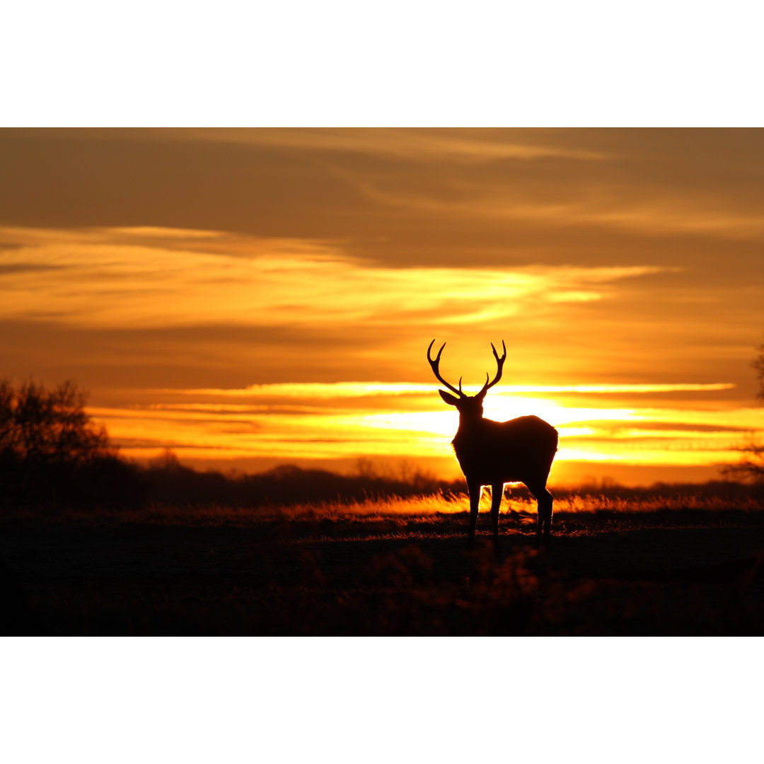 Sunset View von GP232 - Leinwanddrucke auf Leinwand