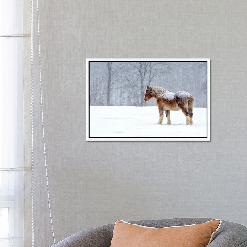 Stoic 1 Piece Wall Art on Canvas, 66.04 cm H x 45.72 cm W, White Framed