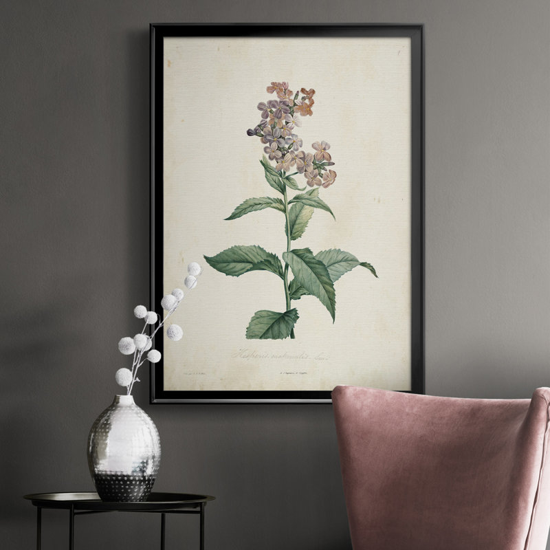 Toile encadrée de qualité supérieure Traditional Botanical II - prête à être accrochée, H 30,5 po x l 22,5 po x P 1 po, Noir